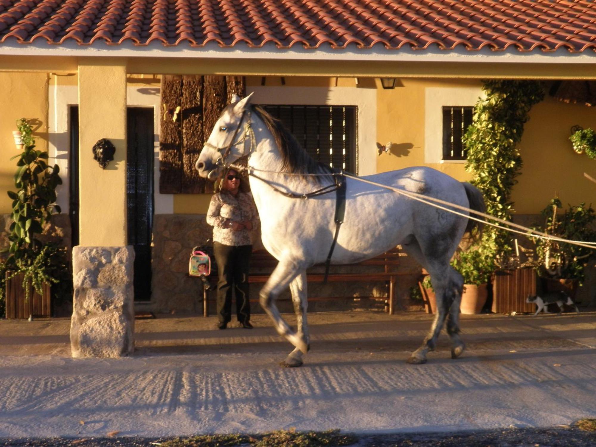 La Posada Hipica Rosalejo  Exterior photo